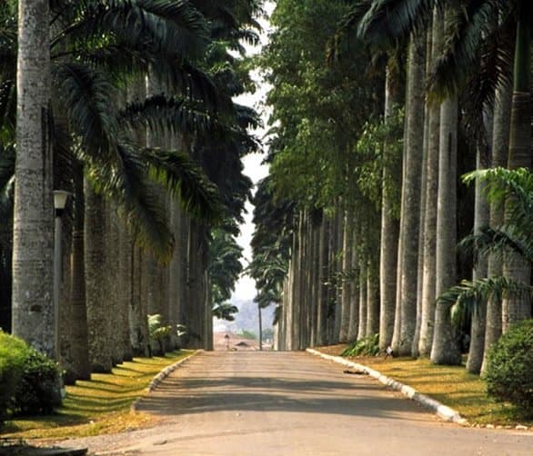 The view from the Aburi Mountains over the plain toward Accra