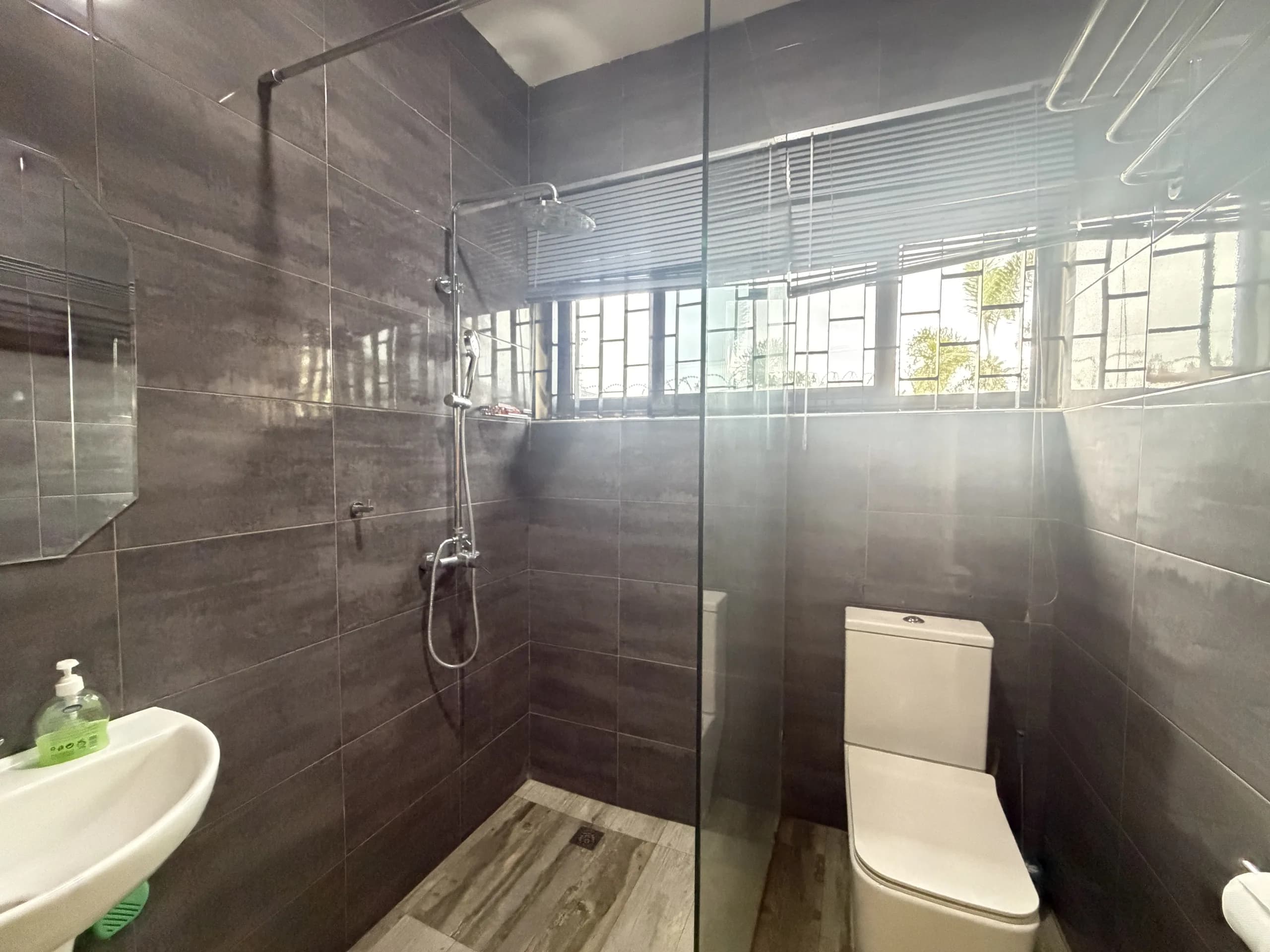A walk-in rain shower behind glass, with a basin and mirror