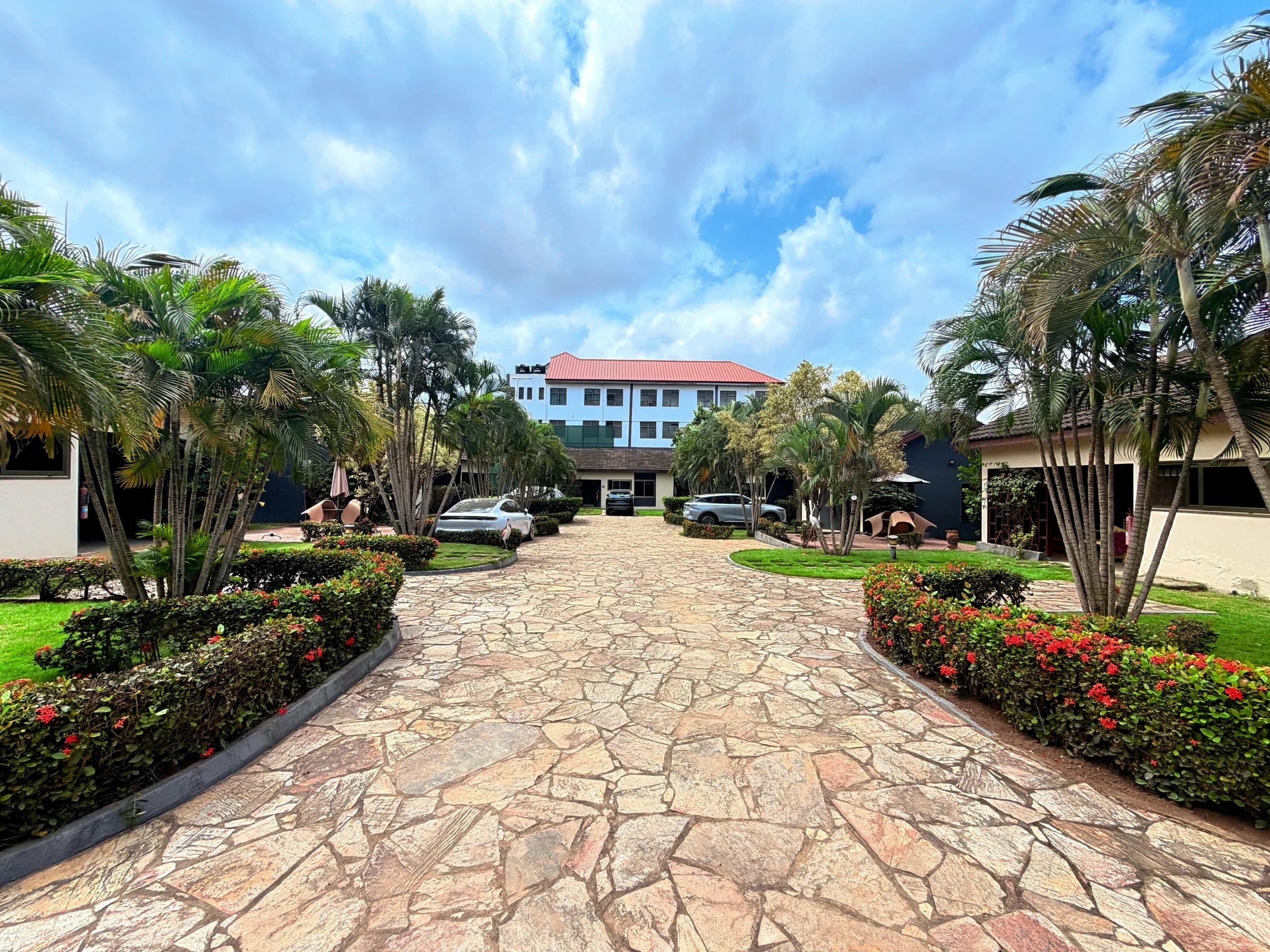 The stone drive, lined with palms and flowering hedges