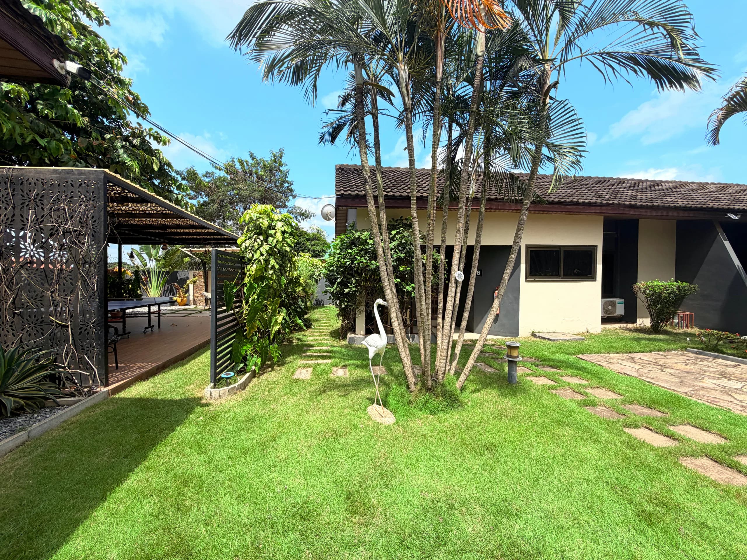 Tall palms above the lawn