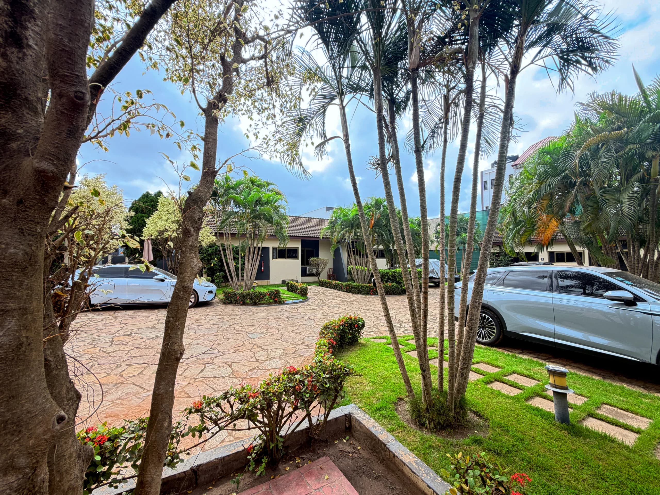 The drive and parking, shaded by palms